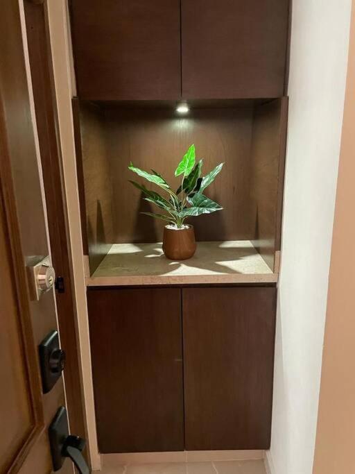 Departamento Centrico Y Moderno En Cancun. 外观 照片